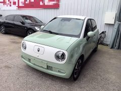 ORA Black Cat 405km Long Range Ternary Lithium - ფოტო 1
