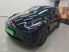 Tesla Model Y Rear-Wheel Drive - ფოტო 1