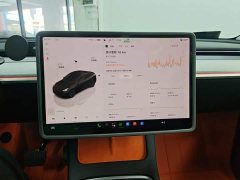 Tesla Model Y Rear-Wheel Drive - ფოტო 13
