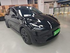 Tesla Model Y Rear-Wheel Drive - ფოტო 4