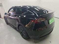 Tesla Model Y Rear-Wheel Drive - ფოტო 5