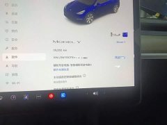 Tesla Model Y 2022 Facelift Rear-Wheel Drive - ფოტო 12