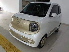 FAW Besturn Xiaoma 2026 222km Cute Horse Plus - ფოტო 1
