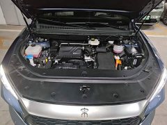BYD Song Pro New Energy DM-i 110KM Excellence Edition - ფოტო 20