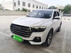 Haval H6 2021 National Trend 1.5T Automatic Champion Edition - ფოტო 2