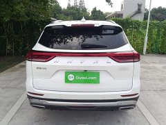 Haval H6 2021 National Trend 1.5T Automatic Champion Edition - ფოტო 6