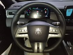 BYD Qin PLUS DM-i Smart Drive Edition 55KM Leading - ფოტო 11