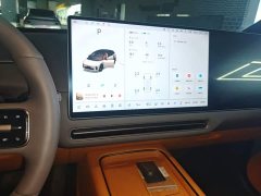 Li Auto i6 Four-Wheel Drive Standard Edition - ფოტო 13