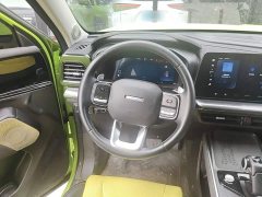 Haval Cool Dog 1.5T DCT AWD Trendy Wilderness Edition - ფოტო 11