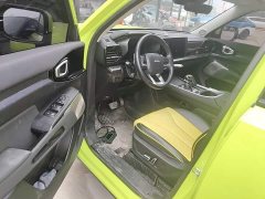 Haval Cool Dog 1.5T DCT AWD Trendy Wilderness Edition - ფოტო 16