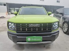 Haval Cool Dog 1.5T DCT AWD Trendy Wilderness Edition - ფოტო 3