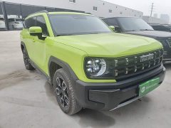 Haval Cool Dog 1.5T DCT AWD Trendy Wilderness Edition - ფოტო 4