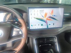 BYD Yuan Plus DM-i 112KM Premium Edition - ფოტო 10