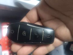 BYD Yuan Plus DM-i 112KM Premium Edition - ფოტო 9
