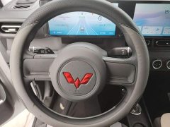 Wuling Zhiguang New Energy 305km Aspiring Edition - ფოტო 11
