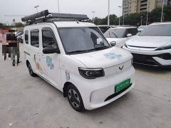 Wuling Zhiguang New Energy 305km Aspiring Edition - ფოტო 4