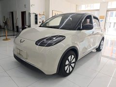Wuling Binguo 333km Joy Edition - ფოტო 1