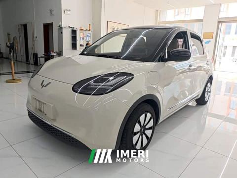 2024 Wuling Binguo 333km Joy Edition