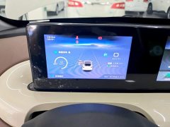 Wuling Binguo 333km Joy Edition - ფოტო 12