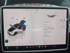 Tesla Model Y Rear-Wheel Drive - ფოტო 12