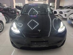 Tesla Model Y Rear-Wheel Drive - ფოტო 3