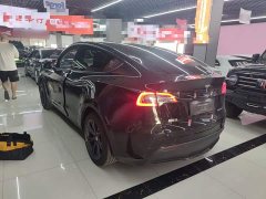 Tesla Model Y Rear-Wheel Drive - ფოტო 5