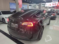 Tesla Model Y Rear-Wheel Drive - ფოტო 7