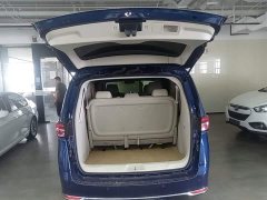 Buick GL8 Land Executive Cabin 652T Luxury - ფოტო 19