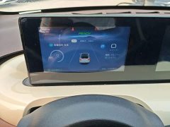 Wuling Binguo 333km Joy Edition - ფოტო 12