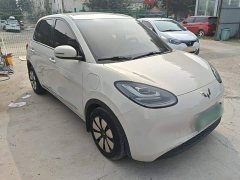 Wuling Binguo 333km Joy Edition - ფოტო 4