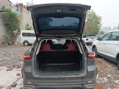 Changan Oushan X5 1.5T DCT Premier - ფოტო 19