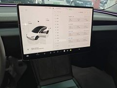 Tesla Model 3 2023 Rear-Wheel Drive - ფოტო 13