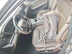 BYD Han 2020 DM AWD Performance Luxury Edition - ფოტო 15