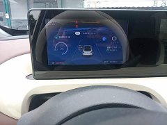 Wuling Binguo 333km Joy Edition - ფოტო 12