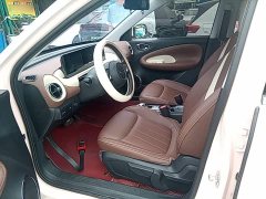 Wuling Binguo 333km Joy Edition - ფოტო 16