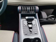 BYD Yuan Plus Champion Edition 510KM Leading - ფოტო 14