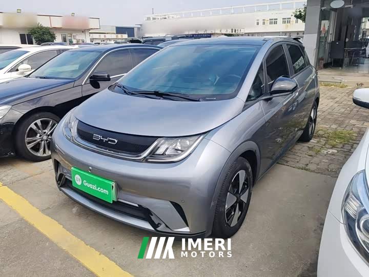 BYD Dolphin 420km Fashion Edition - ავტომობილი ჩინეთიდან