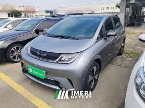 2023 BYD Dolphin 420km Fashion Edition - ავტომობილი ჩინეთიდან