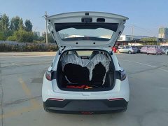 Geely Star Wish 310km Youth Edition - ფოტო 19