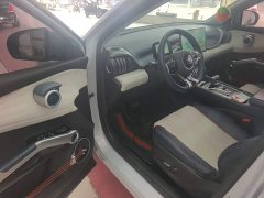BYD Yuan Plus 430KM Premium Edition - ფოტო 16