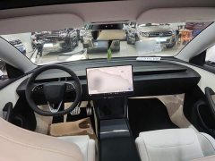 Tesla Model 3 High Performance All-Wheel Drive - ფოტო 10