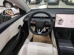 Tesla Model 3 High Performance All-Wheel Drive - ფოტო 11