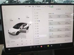 Tesla Model 3 High Performance All-Wheel Drive - ფოტო 12