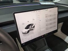Tesla Model 3 High Performance All-Wheel Drive - ფოტო 13