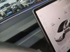 Tesla Model 3 High Performance All-Wheel Drive - ფოტო 14