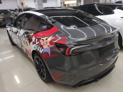 Tesla Model 3 High Performance All-Wheel Drive - ფოტო 5
