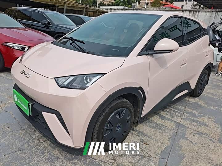 BYD Seagull Glory Edition 305km Vitality Version - ავტომობილი ჩინეთიდან