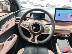 BYD Seagull Glory Edition 305km Vitality Version - ფოტო 11