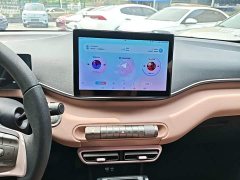 BYD Seagull Glory Edition 305km Vitality Version - ფოტო 13