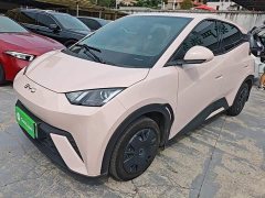 BYD Seagull Glory Edition 305km Vitality Version - ფოტო 2